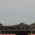 12_25-mast.jpg