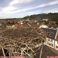 12_25-nest.jpg