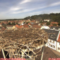 12_30-nest.jpg