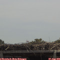 12_35-mast.jpg