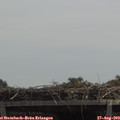 12_40-mast.jpg