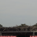 12_45-mast.jpg