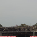 12_55-mast.jpg