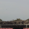 13_05-mast.jpg