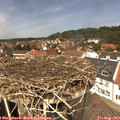 13_05-nest.jpg