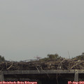 13_15-mast.jpg