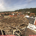 13_15-nest.jpg