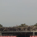 13_20-mast.jpg