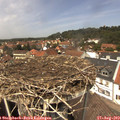 13_20-nest.jpg