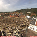 13_25-nest.jpg