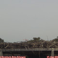13_30-mast.jpg