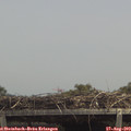 13_35-mast.jpg