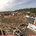 13_35-nest.jpg