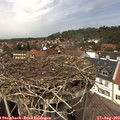 13_40-nest.jpg