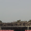 13_45-mast.jpg