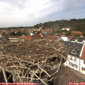 13_45-nest.jpg