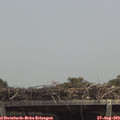 13_50-mast.jpg