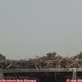 13_55-mast.jpg