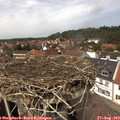 13_55-nest.jpg