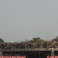 14_00-mast.jpg