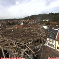 14_05-nest.jpg