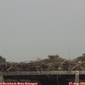 14_10-mast.jpg