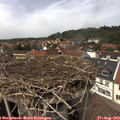 14_10-nest.jpg