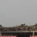 14_15-mast.jpg