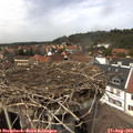 14_15-nest.jpg