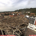 14_20-nest.jpg