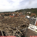 14_25-nest.jpg