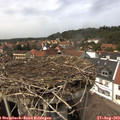 14_30-nest.jpg