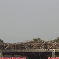 14_35-mast.jpg