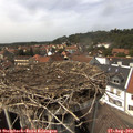 14_35-nest.jpg