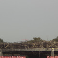 14_40-mast.jpg