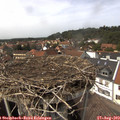 14_40-nest.jpg