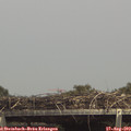 14_45-mast.jpg
