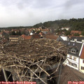 14_45-nest.jpg