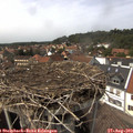 14_50-nest.jpg