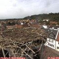 14_55-nest.jpg