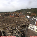 15_00-nest.jpg