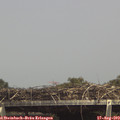 15_05-mast.jpg