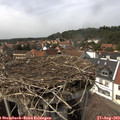 15_05-nest.jpg