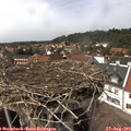 15_10-nest.jpg