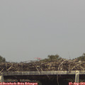 15_15-mast.jpg
