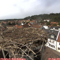 15_15-nest.jpg