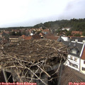 15_20-nest.jpg