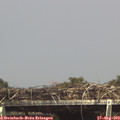 15_25-mast.jpg