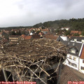 15_25-nest.jpg
