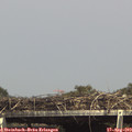 15_30-mast.jpg